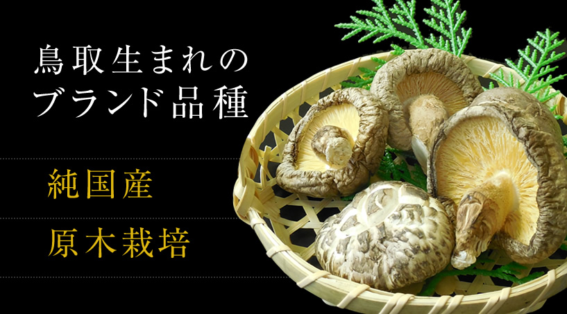 ブランド品種115号干ししいたけ 原木しいたけ通販なら へるしいたけ